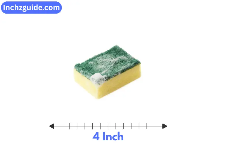 Kitchen Sponge