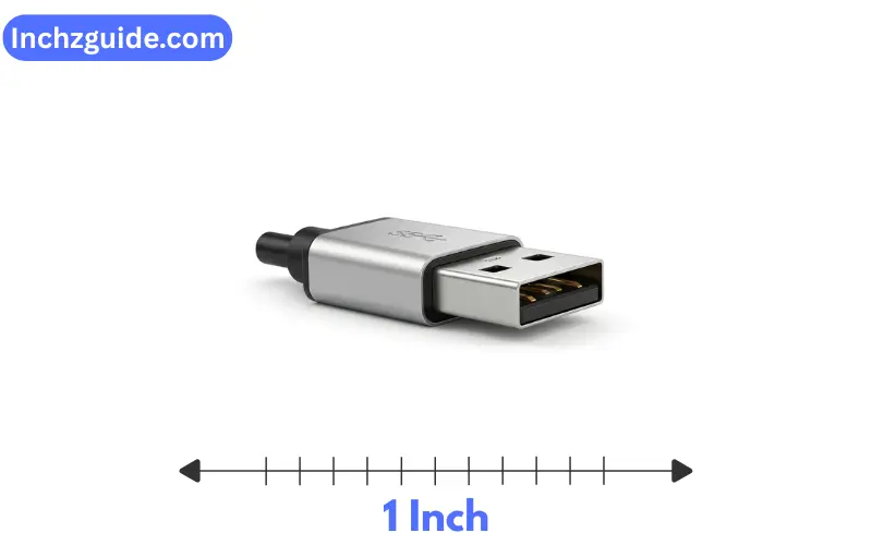 How Long is 1 Inch?