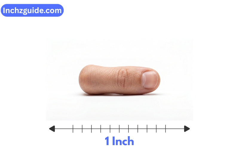How Long is 1 Inch?