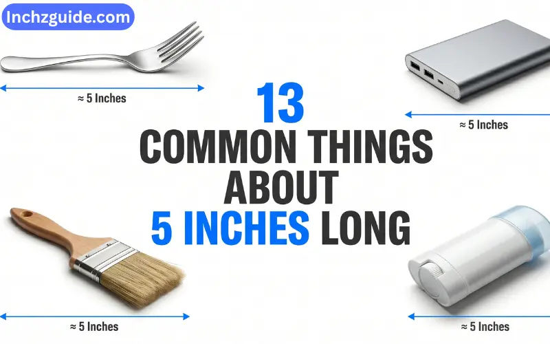 how long is 5 inches