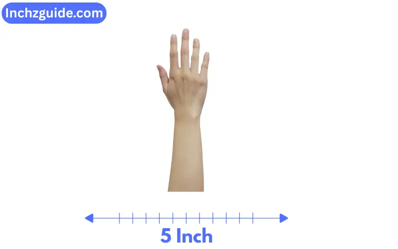 how long is 5 inch