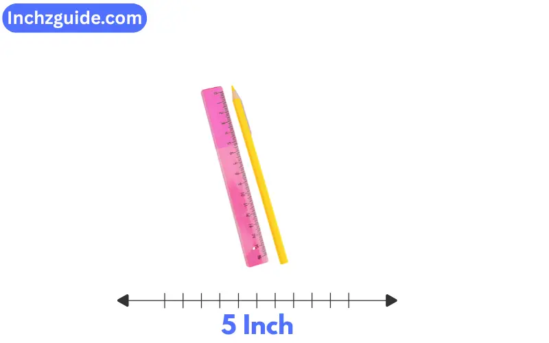 how long is 5 inch