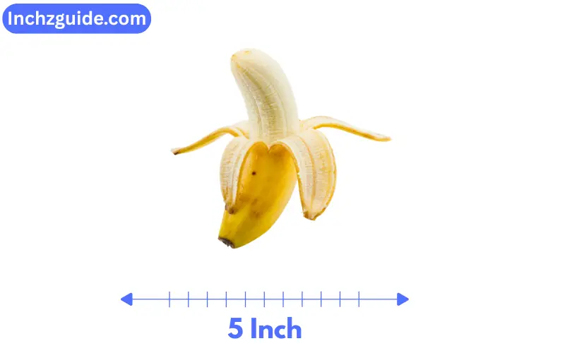 how long is 5 inch