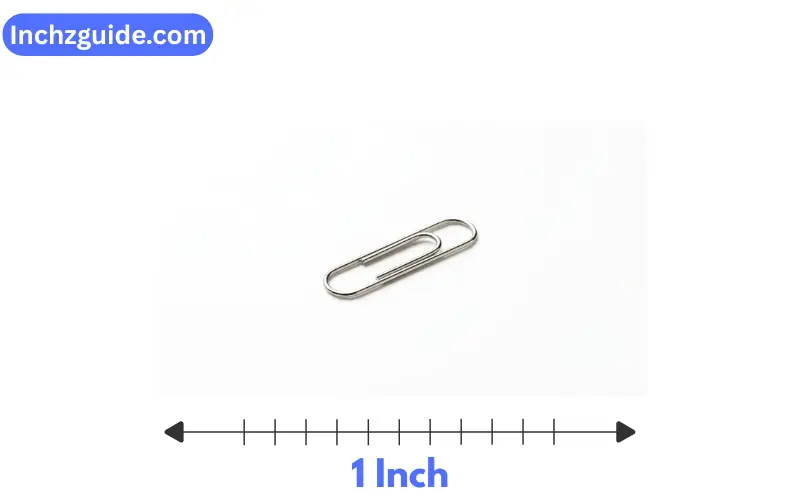 How Long is 1 Inch?