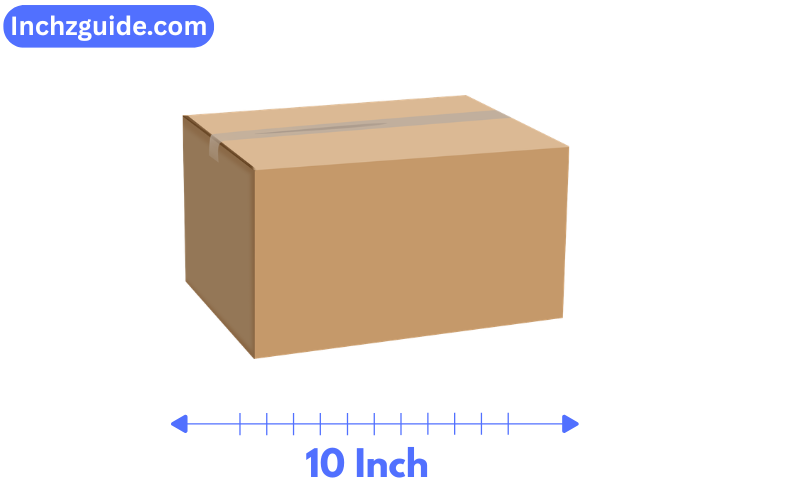 How Long is 10 Inches