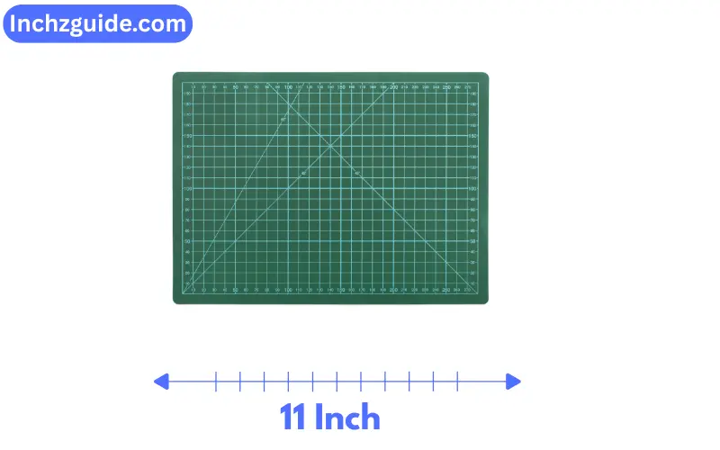 How Long is 11 Inches