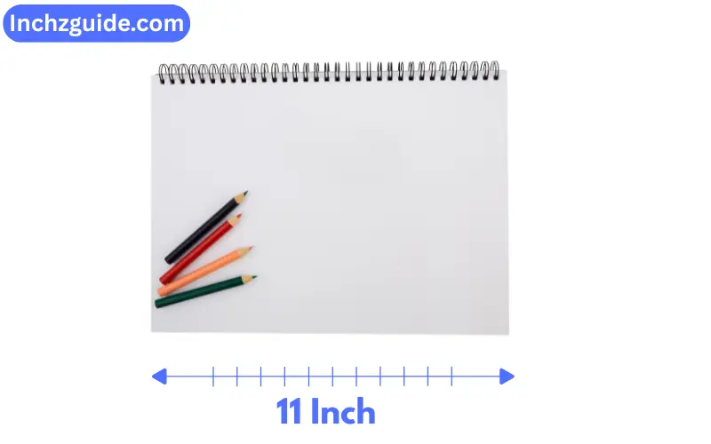 How Long is 11 Inches