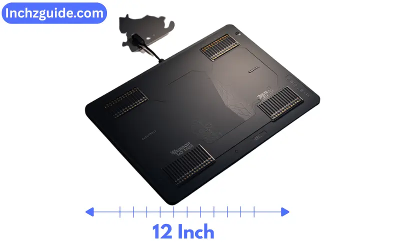 How Long is 12 Inches