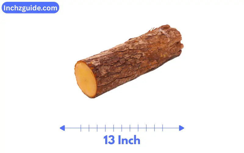 How Long is 13 inches