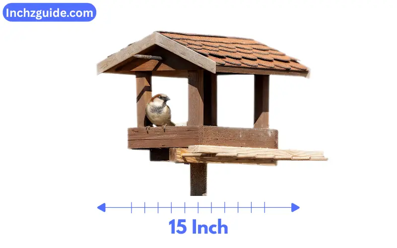 How Long is 15 inches