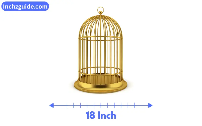 How Long is 18 inches