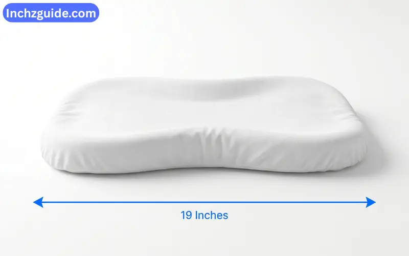 How Long is 19 inches