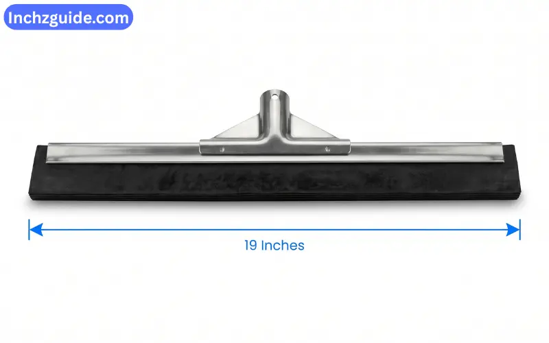How Long is 19 inches