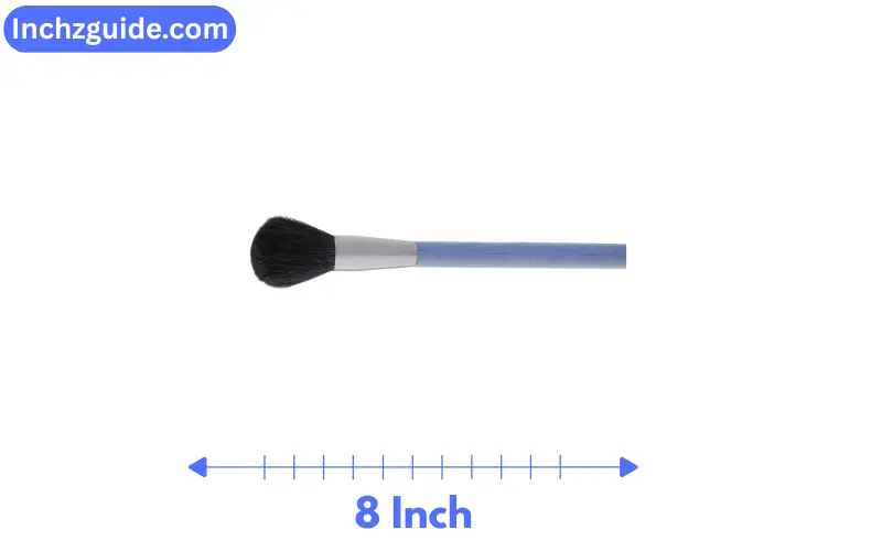 How Long is 8 Inches