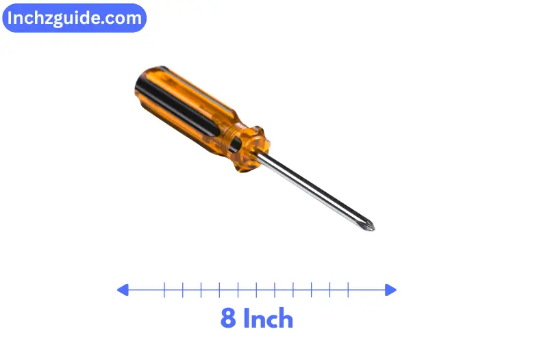 How Long is 8 Inches