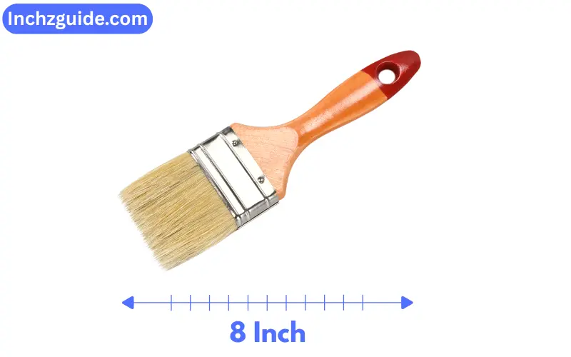 How Long is 8 Inches