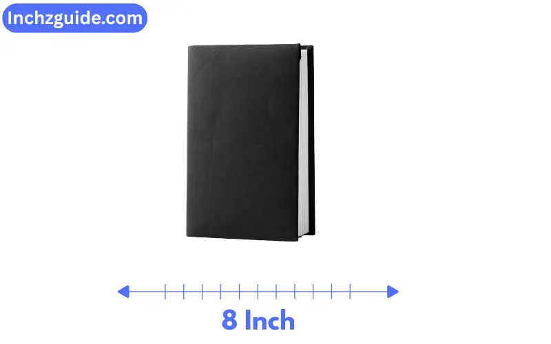 How Long is 8 Inches