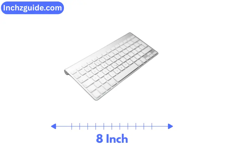 How Long is 8 Inches