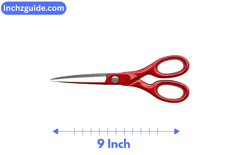 How Long is 9 Inches