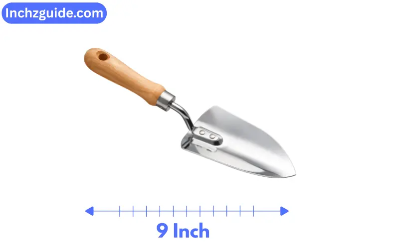 How Long is 9 Inches