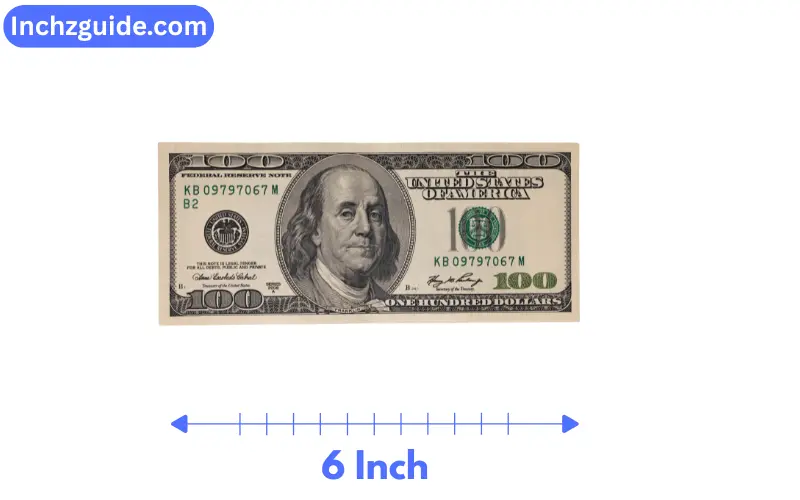 how long is 6 inches