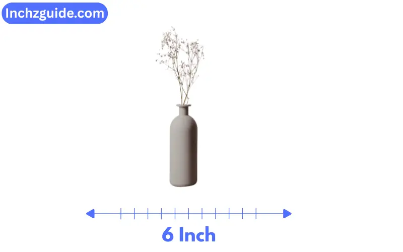 how long is 6 inches