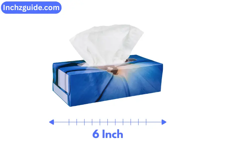 how long is 6 inches