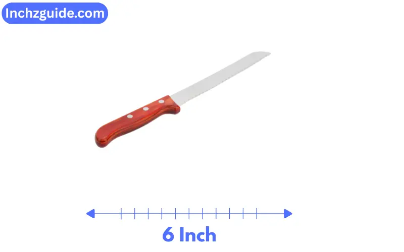 how long is 6 inches
