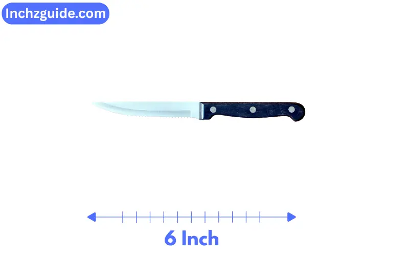 how long is 6 inches