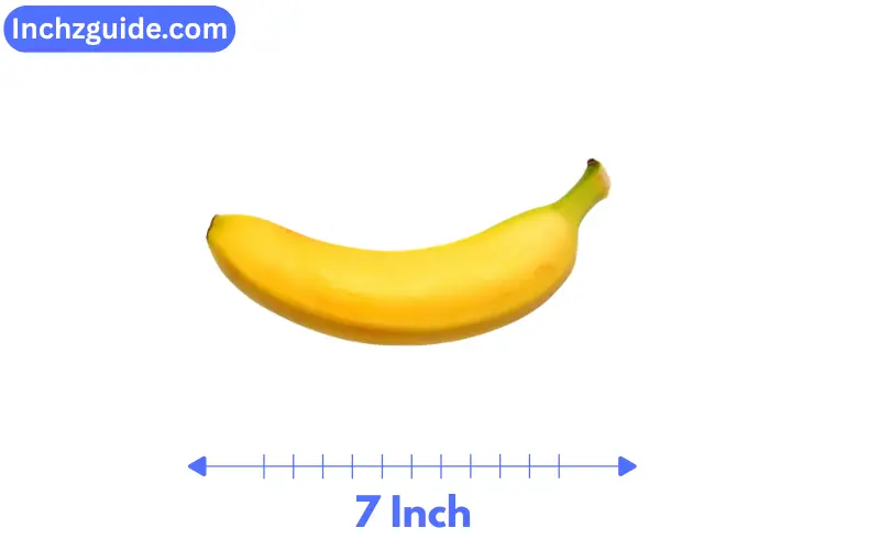 how long is 7 inches